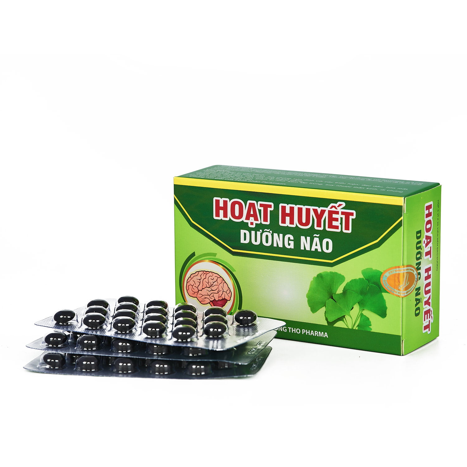 Hoạt huyết dưỡng não
